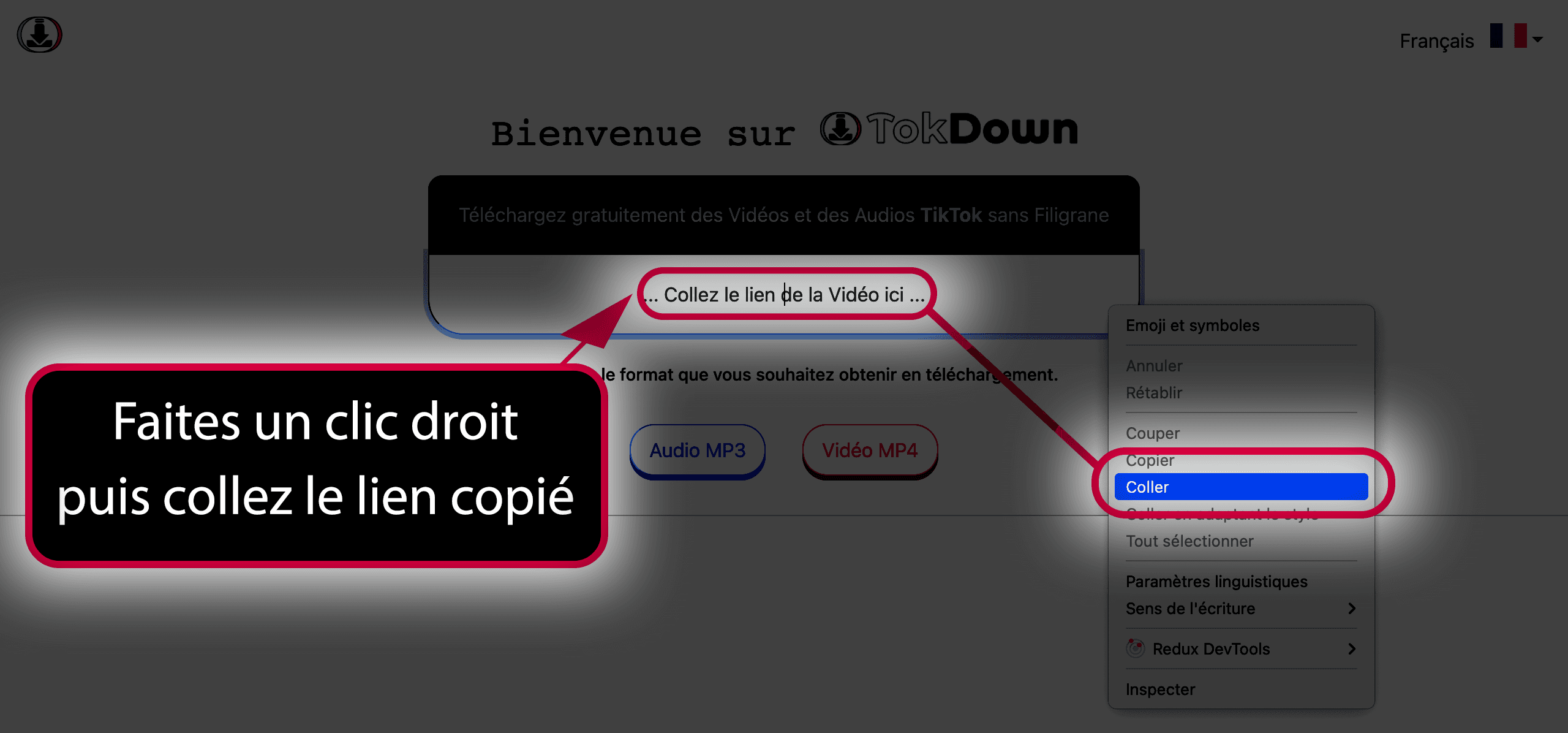 image-illustrative-comment-coller-un-lien-dans-tokdown